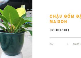 CHẬU GỐM ĐẬM MAI SƠN