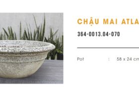 CHẬU MAI ATLANTIC