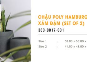 CHẬU POLY HAMBURG